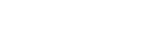 Niilo Mäki -instituutti